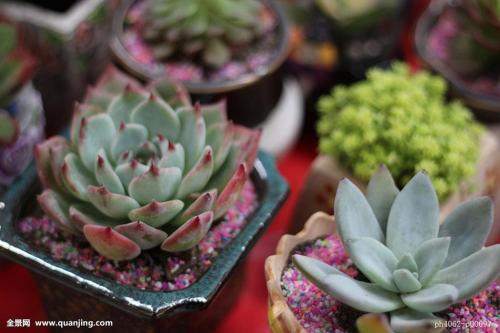 ·¢¸Äί:×¥µäÐͰ¸ÀýÖú¡°Òø·¢×塱¿çÔ½¡°Êý×ֺ蹵¡±